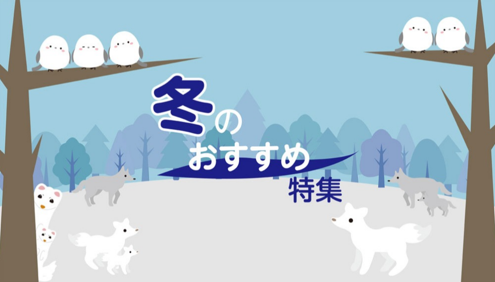 冬のおすすめ特集