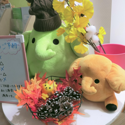 【個人年金保険】