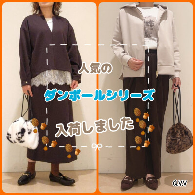 🌰人気のダンボールシリーズが入荷しました🌰