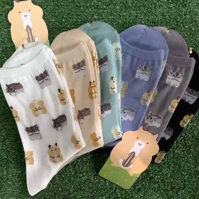可愛いハムスター🐹はむはむロークルー🐹🐹🐹