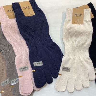 綿100％の靴下入荷いたしました✨