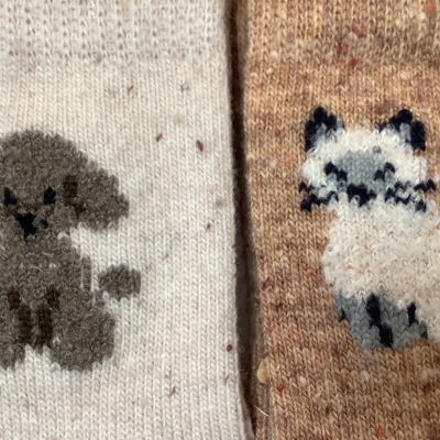 犬猫好きさんにおすすめ🐶🐱