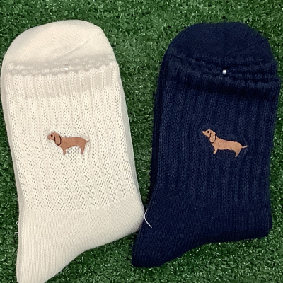 ダックスフンドが仲間入り♡