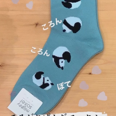 コロコロ🐼ころがりパンダが可愛いです💕