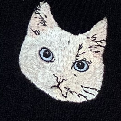 2月22日は猫の日🐈🐈🐈