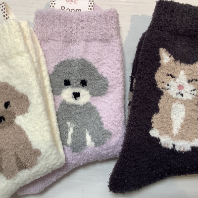 去年大人気だった可愛いルームソックスが入荷しましたよ🐶🐈