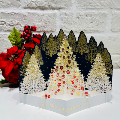 🎅クリスマスカード展開中🎄