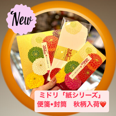 季節レター🍁ポンポン菊柄