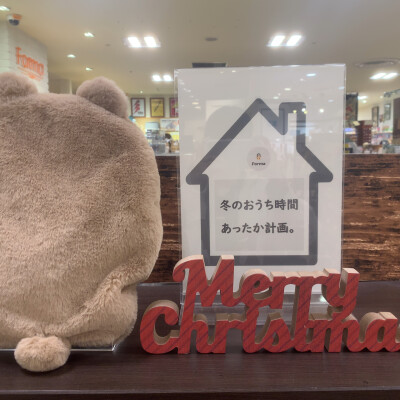 冬の暖かいお友達🐰