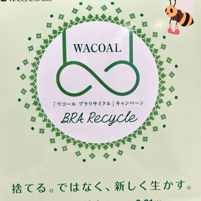 ブラリサイクル回収始まりました‼️