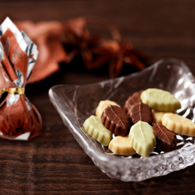 🍃人気のチョコレート🍫＜モンロワール＞