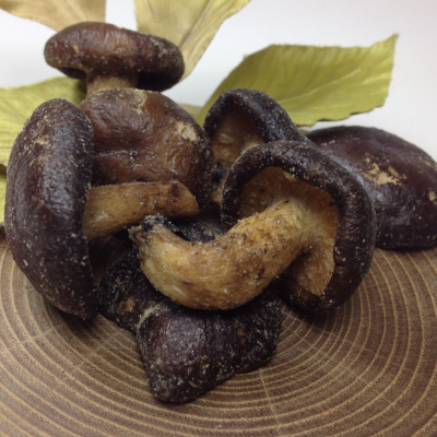 🍄菓子催物情報🍄＜紅公（ベニコウ）＞