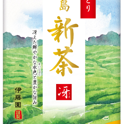 【伊藤園】担当者のおすすめ🍵