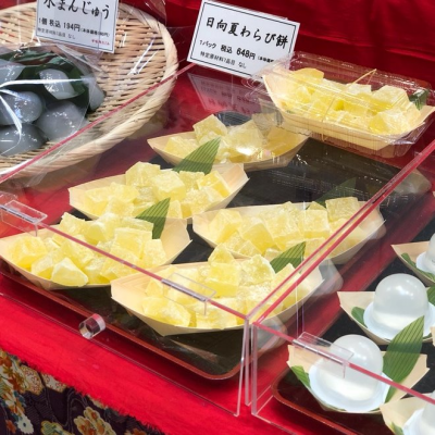 日向夏わらび餅がオススメ！🍊菓子催物情報🌸＜甘味処なごみ＞