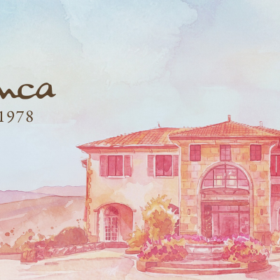 🫧🐚ブランカフェア🐚🫧