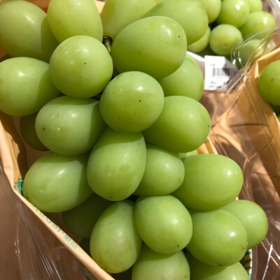 🍇今年は甘いですよ～🍇