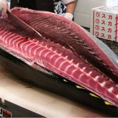 〈築地 中島水産〉まぐろ柵取即売会🐟️