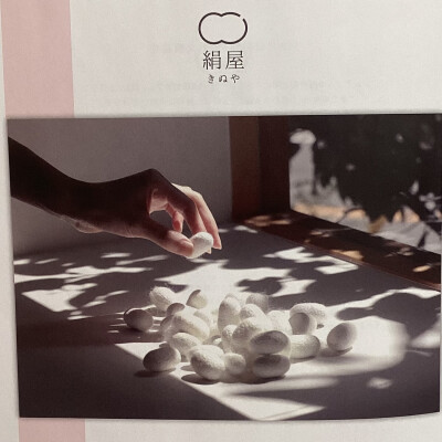 肌のダメージが気になる季節に毎日使えるシルクコスメ