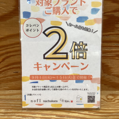 🌟コレパンポイント2倍キャンペーン🌟