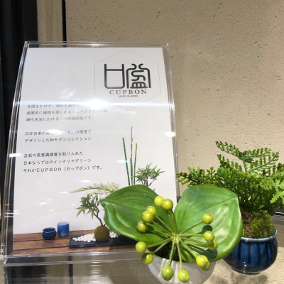 おうちに盆栽はいかがですか…？